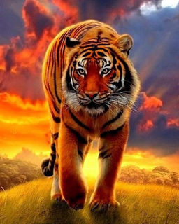 Алмазная мозаика на подрамнике 40х50