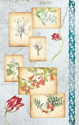 Love2art бумага рисовая KPR/R 32 x 22 см СК/Распродажа 0088  Ботанические зарисовки