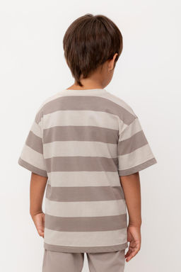 КР 302461/бежевый,коричневый,полоска к554 фуфайка (футболка) для мал - Crockid фото 5