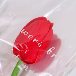 Цена за 2 шт. Мыльный тюльпан, красный - Simaland фото 3