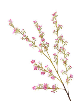 Цветы искусственные "Вероника Георгия" 92 см, розовый