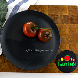 Гном Стринги - Tomatia фото 2