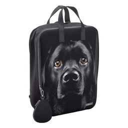 Цена за 1 шт. Рюкзак ErichKrause StreetLine 16L Black Dog