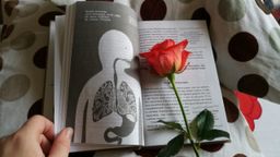 Очаровательный кишечник. Как самый могущественный орган управляет нами - Эксмо фото 20