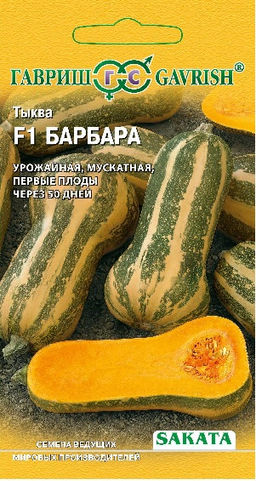 Барбара F1 тыква мускатная 5шт (г)