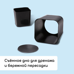 Набор для рассады: стаканы по 300 мл (12 шт.), поддон 45×18 см, МИКС, Greengo