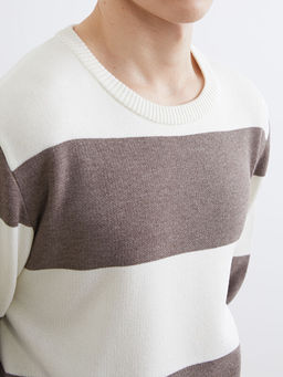 Bisiklet Yaka ?izgili Erkek Triko Kazak