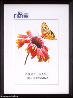 Фоторамка 15x21 / 2009C-012C /уп 10