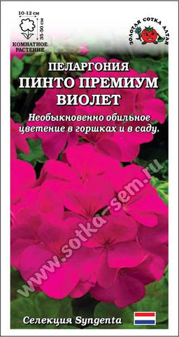 Пеларгония Пинто Премиум F1 Виолетт 3шт. (Золотая сотка Алтая)