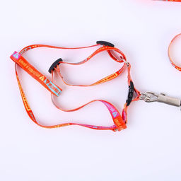 Комплект Дикий и пушистый, шлейка 24-36 см, поводок 120х1 см - Пушистое счастье фото 2