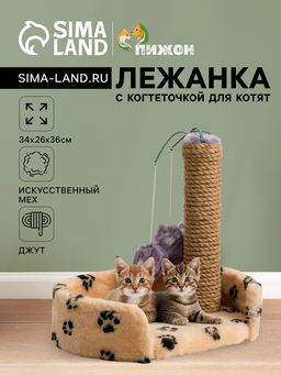 Лежанка с когтеточкой для котят, 34 х 26 х 34 см, джут, микс цветов - Пижон фото 5