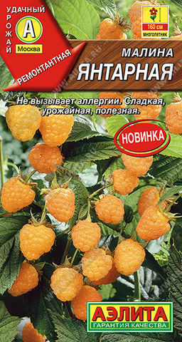 Малина Янтарная (2028)