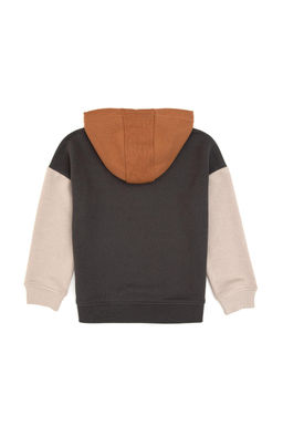 Erkek _ocuk Gri Kap__onlu Sweatshirt - U.s. polo assn фото 3