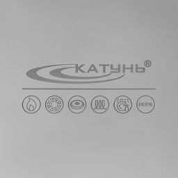 Котёл Катунь «Общепит», 30 л, d=40 см, h=28 см, с крышкой, капсульное дно, индукция, нержавеющая сталь, хромированная