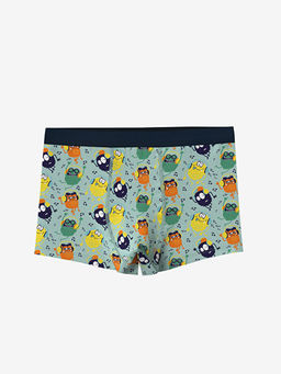 Bask?l? Erkek ?ocuk Boxer 3l? - Waikiki фото 3