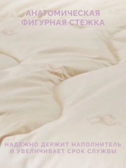 -35% Одеяло всесезонное 200х220 Караван Premium - Ecotex фото 9
