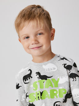 ACOOLA / Пижама детская для мальчиков Leskara серый фото 2