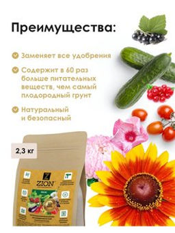 Цион Классик (крафтовый мешок, 2,3 кг) - Zion фото 4