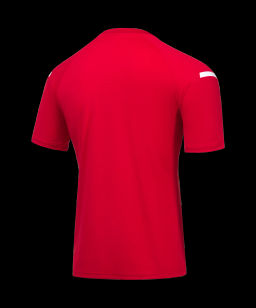 Футболка тренировочная JOGEL CAMP 2 Training Poly Tee, красный  фото 3