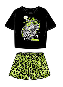 футболка+шорты 2ДЖФШ5741001н