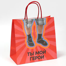 Пакет подарочный, упаковка, Герой, 22?22?11 см