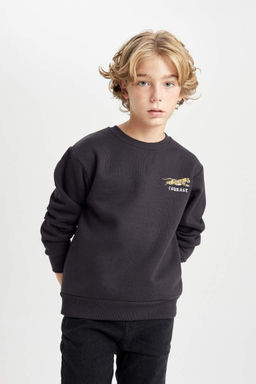 Толстый свитшот с принтом для мальчиков с круглым вырезом - Defacto фото 4