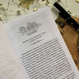 Художница из Джайпура