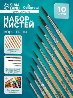 Кисти для рисования, пони, 10 штук: № 1, 2, 3, 4, 5, 6, 7, 8, 9, 10, круглые, деревянная ручка, международный размер