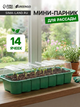 Цена за 5 шт. Мини - парник для рассады, 35×13×11 см, 14 ячеек под таблетки для рассады d=4 см, пластик, Greengo
