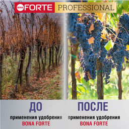 Компл. мин. удобр. "Bona Forte" Универсальное Осеннее с биодост.кремнием гранул.пролонгир., ведро 1л
