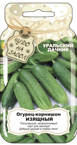 Огурец ИЗЯЩНЫЙ Необычайно красивые, словно с картинки, ровные, тёмно-зелёные огурчики! Неприхотливый, замечательно растёт в открытом грунте! - Уральский дачник фото 3