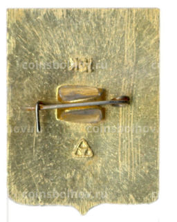 Значок Владимир