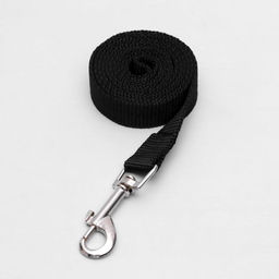 Поводок 1,2 м х 2 см, полиэстер, чёрный