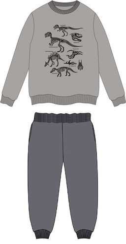 Свитшот+брюки 2ПСБ5903139