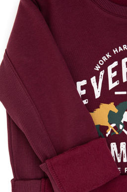 Erkek _ocuk Bordo Bisiklet Yaka Sweatshirt - U.s. polo assn фото 3