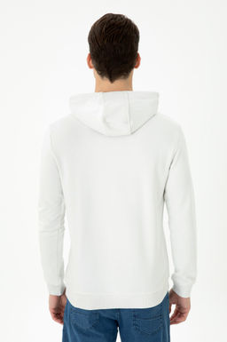U. S. Polo Assn Мужская толстовка с капюшоном и камнем - U.s. polo assn фото 19