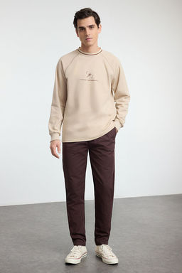TRENDYOL MAN Bej Regular/Normal Kesim Dikis ve Yaka Triko Bant Detayl? Bask?l? Sweatshirt TMNAW25SW00166 - Trendyolmilla фото 12