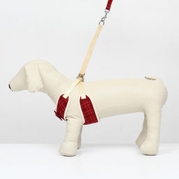 Комплект с мягкой шлейкой Клетки, размер M, поводок, 120 х 1,5 см, ОГ 34-66 см, красный - Пижон фото 2