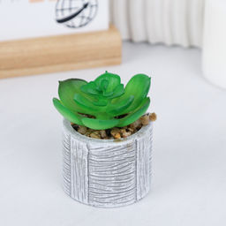 Цветочная композиция Кактус / WER-22 /уп 12/192/ микс - Галеонтрейд фото 18