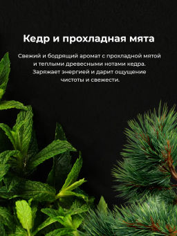 Modum MODO Гель для душа парфюм. мужской ЗАКРЫТЫЙ ГЕШТАЛЬТ (кедр,мята) 500мл (X824-606)