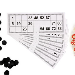 Русское лото настольная игра с фишками «Вояж», 9×24×12.5 см