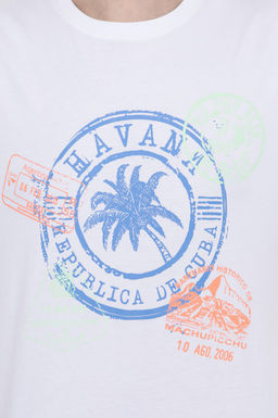 Erkek Beyaz Bisiklet Yaka Ti__rt