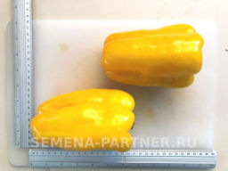 Перец сладкий Гороспел - Партнер фото 4