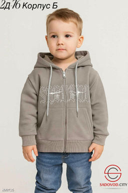 Толстовка для мальчика с начесом