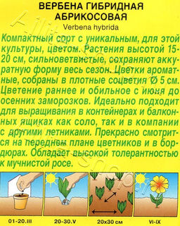 Вербена Абрикосовая 10шт. (Аэлита)