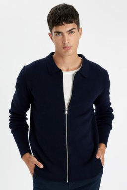 Standart Fit Normal Kesim Polo Yaka Triko H?rka