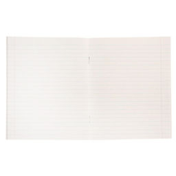 Комплект тетрадей из 5 штук (4 разные + 1 повторяющаяся), 48 листов в линию Calligrata «Цвет и графика», обложка мелованная бумага, блок №2, белизна 75% (серые листы)