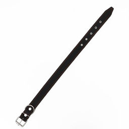 Ошейник комбинированный кожа/брезент, 69 х 3,5 см, ОШ 45-60 см, чёрный - Пижон фото 3