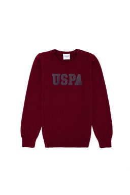U. S. Polo Assn Бордовый трикотажный свитер с круглым вырезом для мальчика - U.s. polo assn фото 4