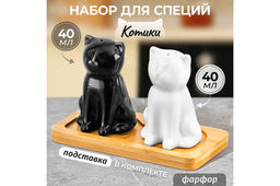 Набор д/специй 2 пр. "Котики" черн/бел на дерев. подставке
